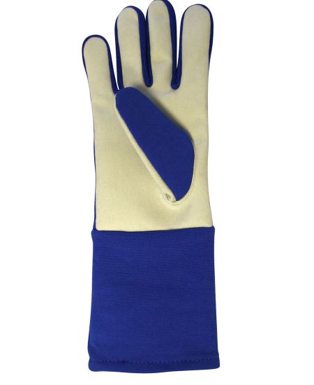 Beginners Blue Glove