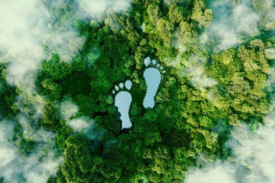 My Sustainability Journey, Part 4: Carbon Footprinting